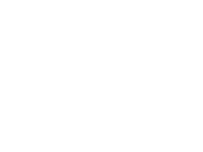 Accurate Converter